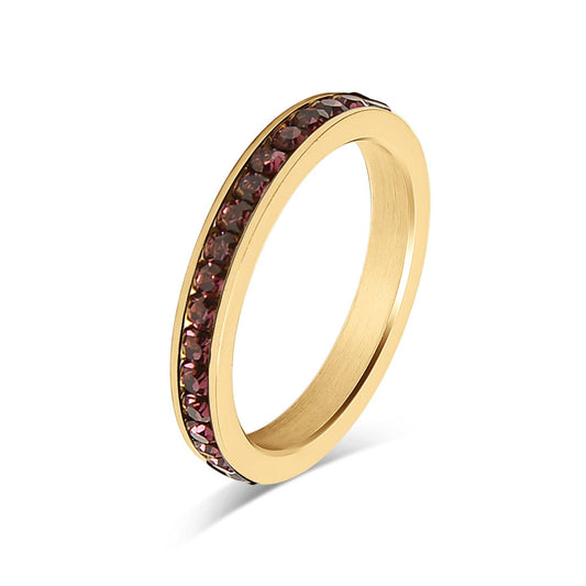 18K Gold PVD CZ Eternity Stainless Steel Ring: February / 6